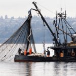 Client-Ready Interiors for Commercial Fishing Vessels